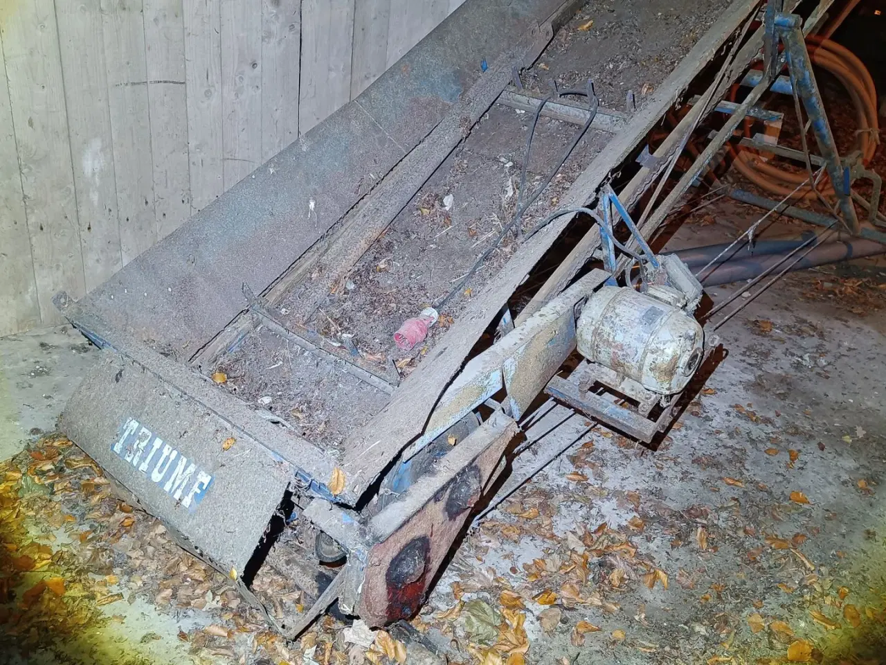 Billede 2 - Triumf transportør ca. 8 meter med fast bund