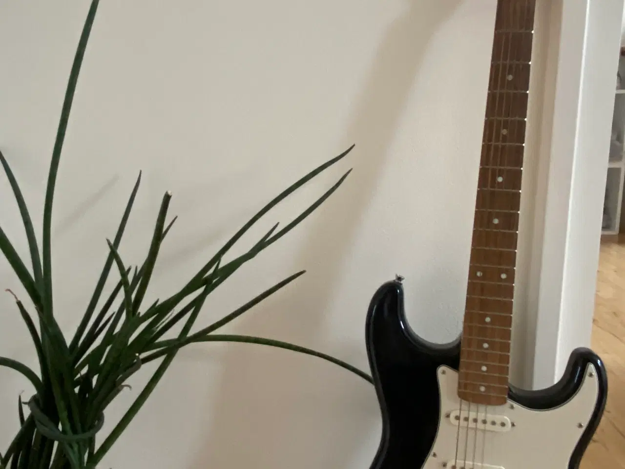 Billede 3 - Fender squier sonic Stratocaster