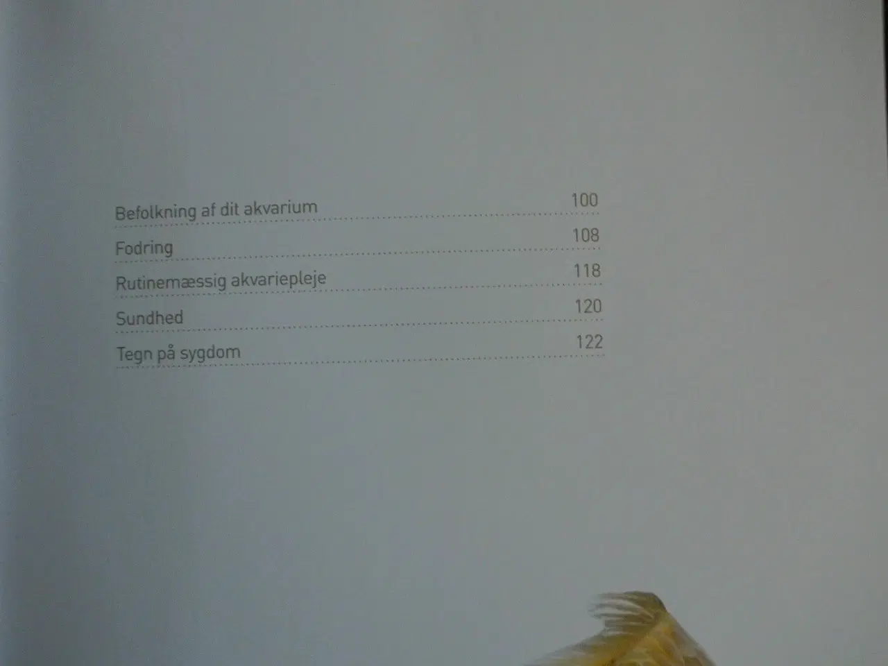 Billede 3 - akvariefisk - opsætning og vedligeholdelse af det 