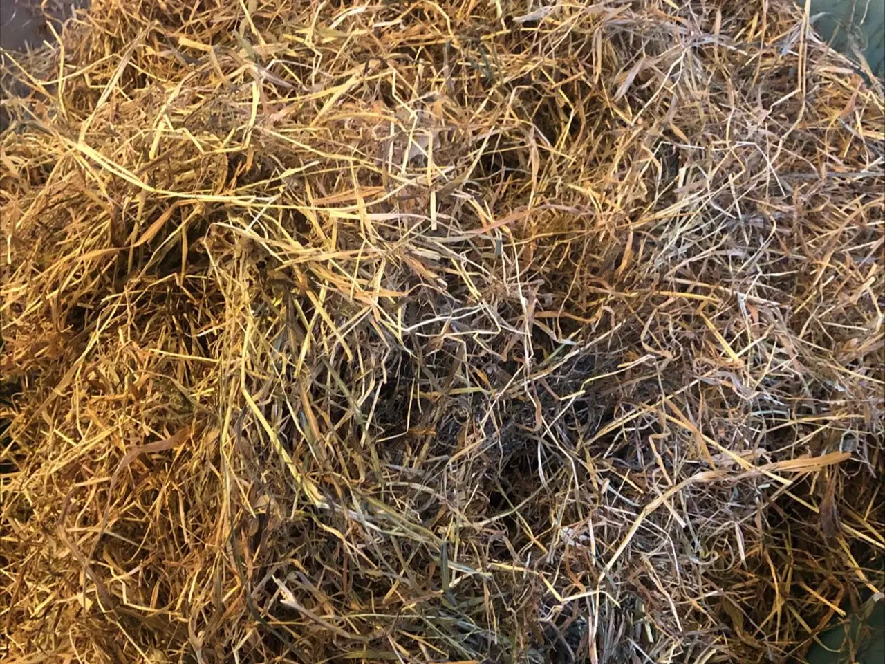 Billede 1 - Wrap af HorseMax 60