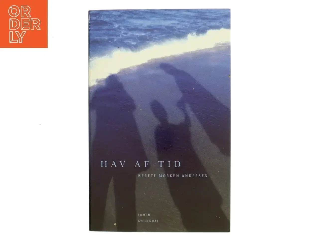 Billede 1 - Hav af tid : roman af Merete Morken Andersen (Bog)