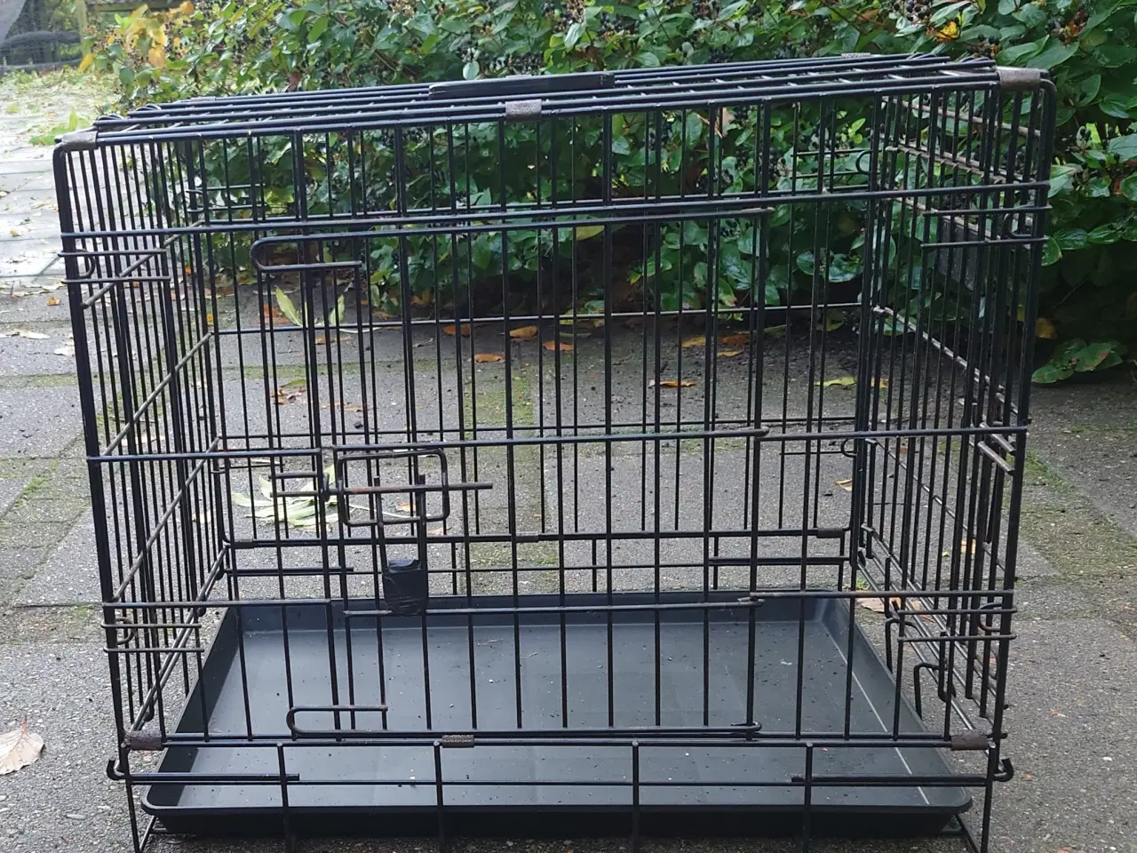 Billede 1 - Hunde transportbur og hundeseng