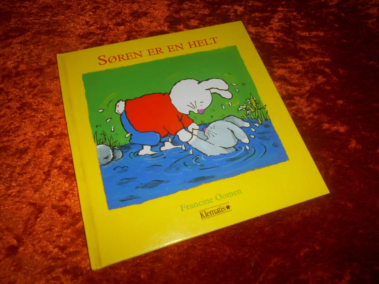 Billede 1 - Søren er en helt, Francine Oomen