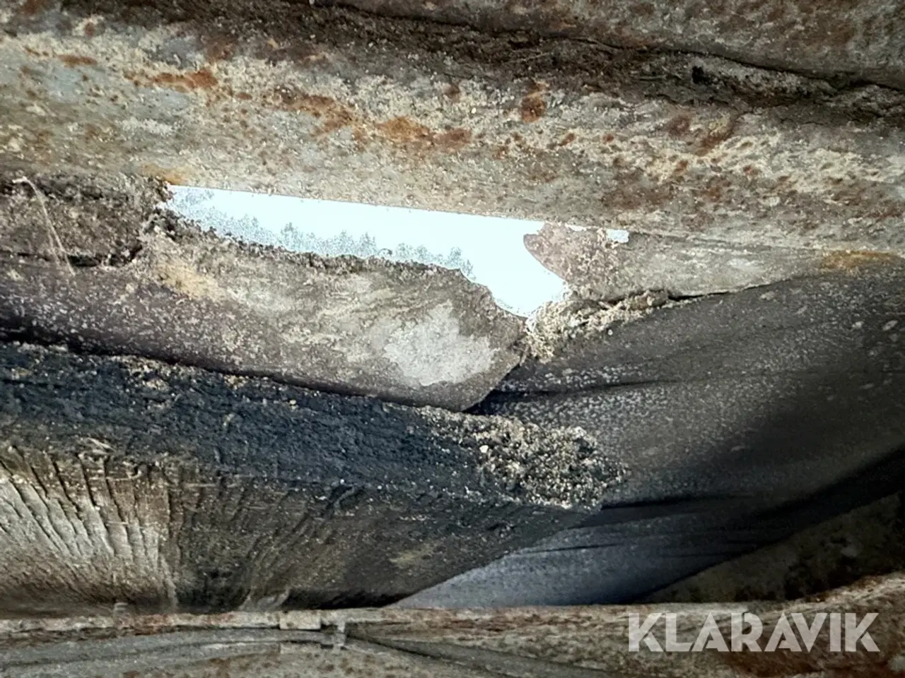 Billede 10 - Anhængere til personbiler Brenderup D9 T2000 kg