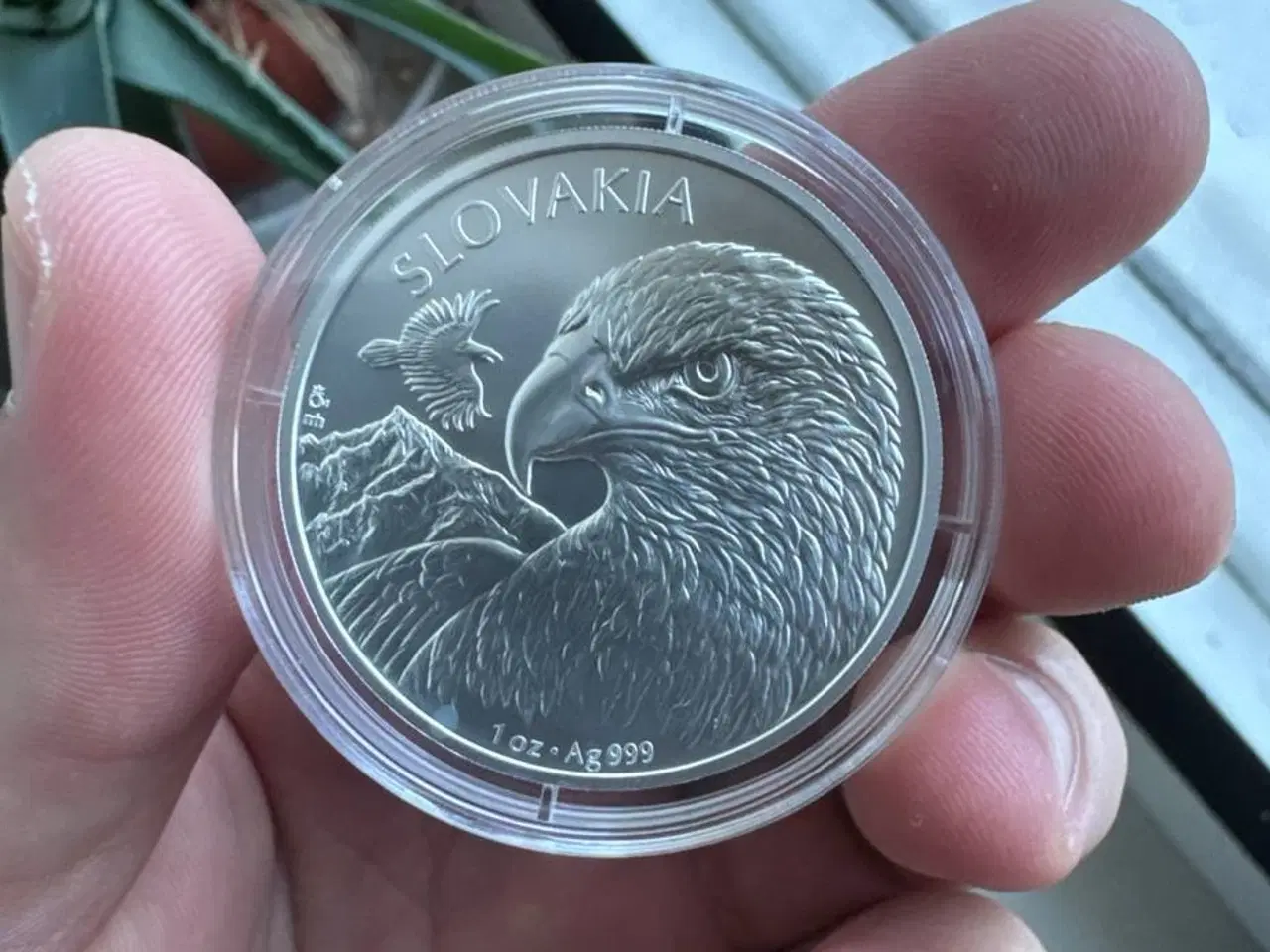 Billede 1 - Niue 2 Dollars 2025 – Golden Eagle 