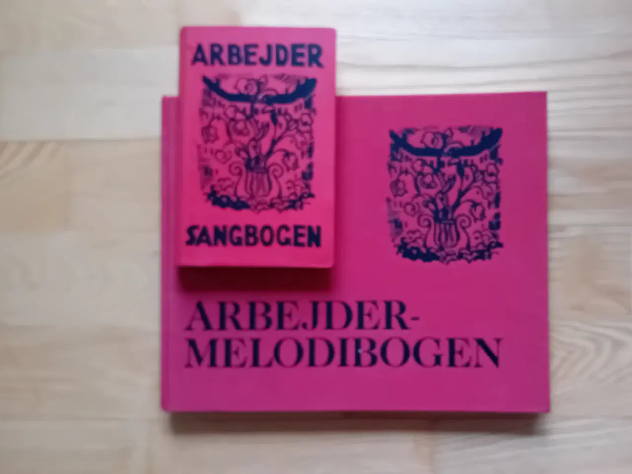 Billede 1 - Sang- og melodibog