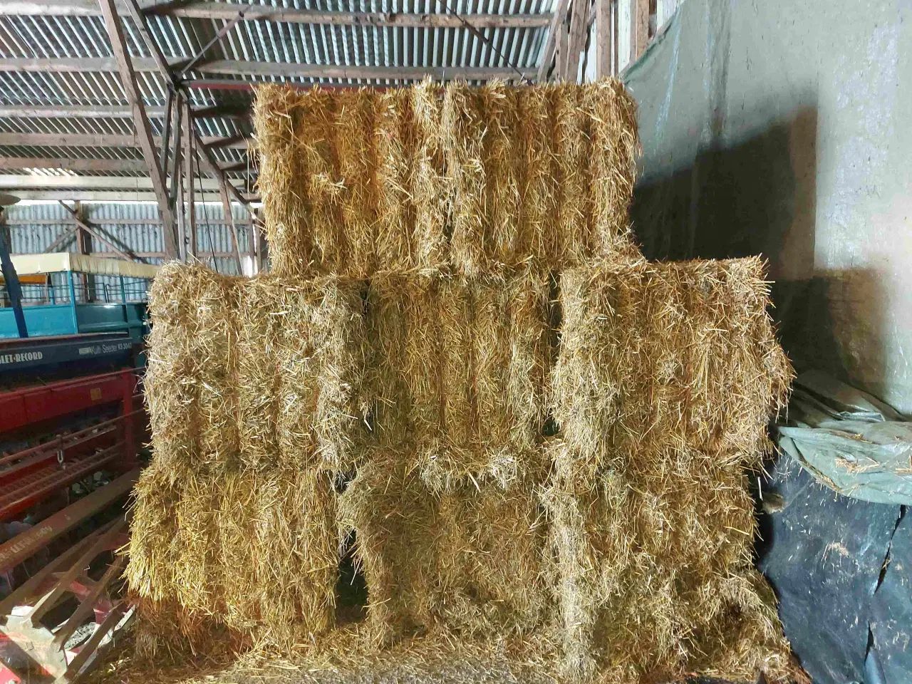Billede 1 - Halm - økologisk - 20 stk minibig