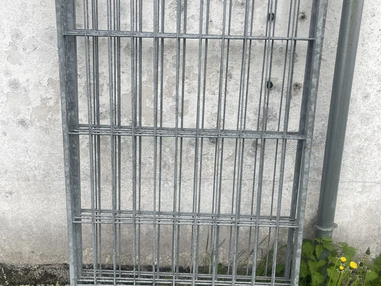 Billede 5 - Hundegård HAKON