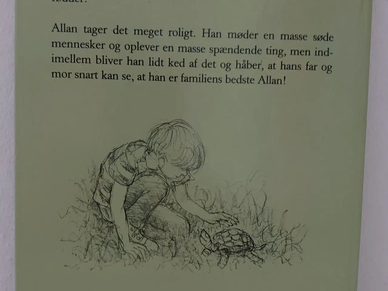 Billede 2 - Ib Spang Olsen: Allan alene. 1. udgave 1988.