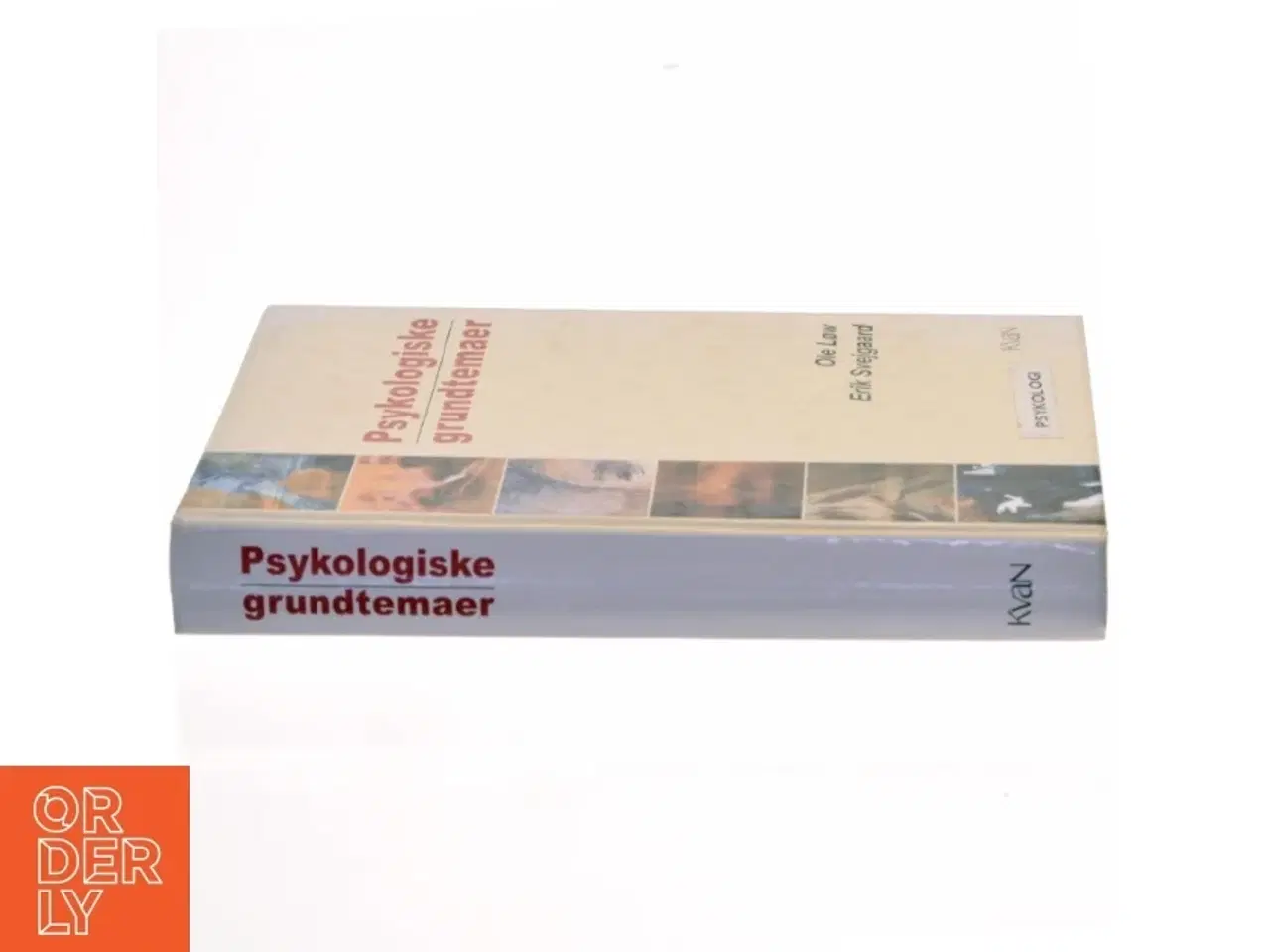 Billede 2 - Psykologiske grundtemaer af Ole Løw