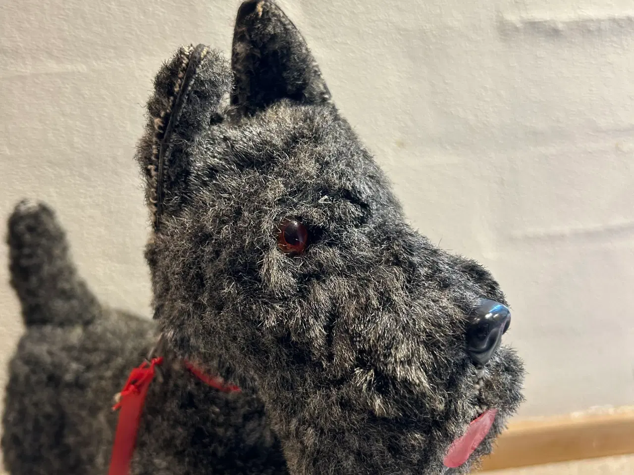 Billede 3 - Skotsk Terrier trækkehund 