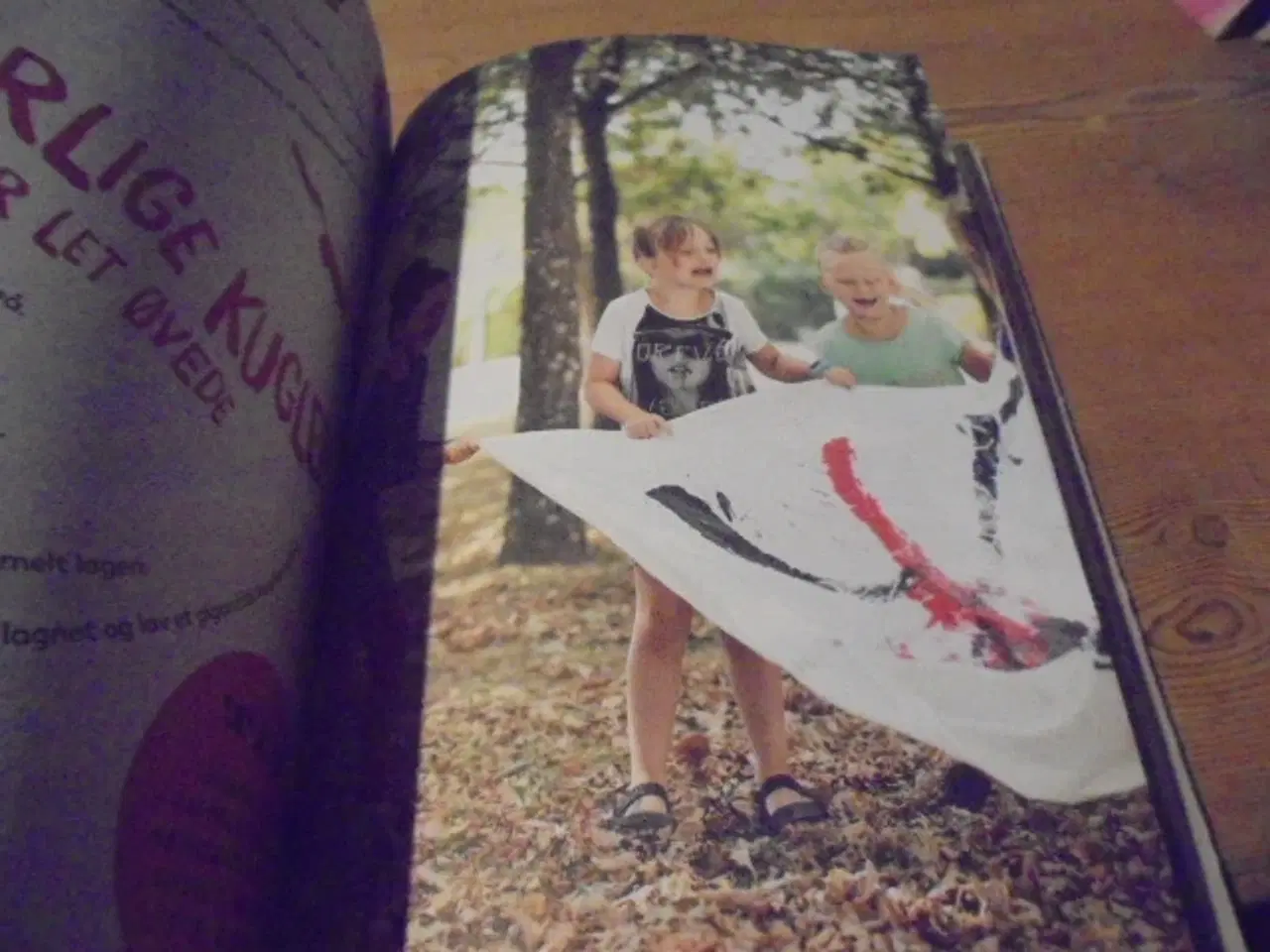 Billede 9 - 100 Asger Jorn Eksperimenter vi kan lave...