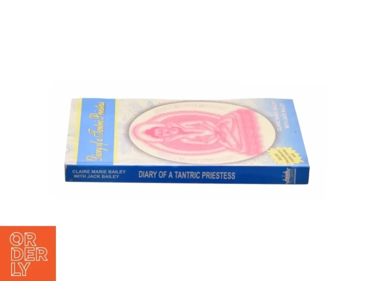 Billede 3 - Diary of a Tantric Priestess af Claire Marie Bailey; Jack Bailey (Bog)