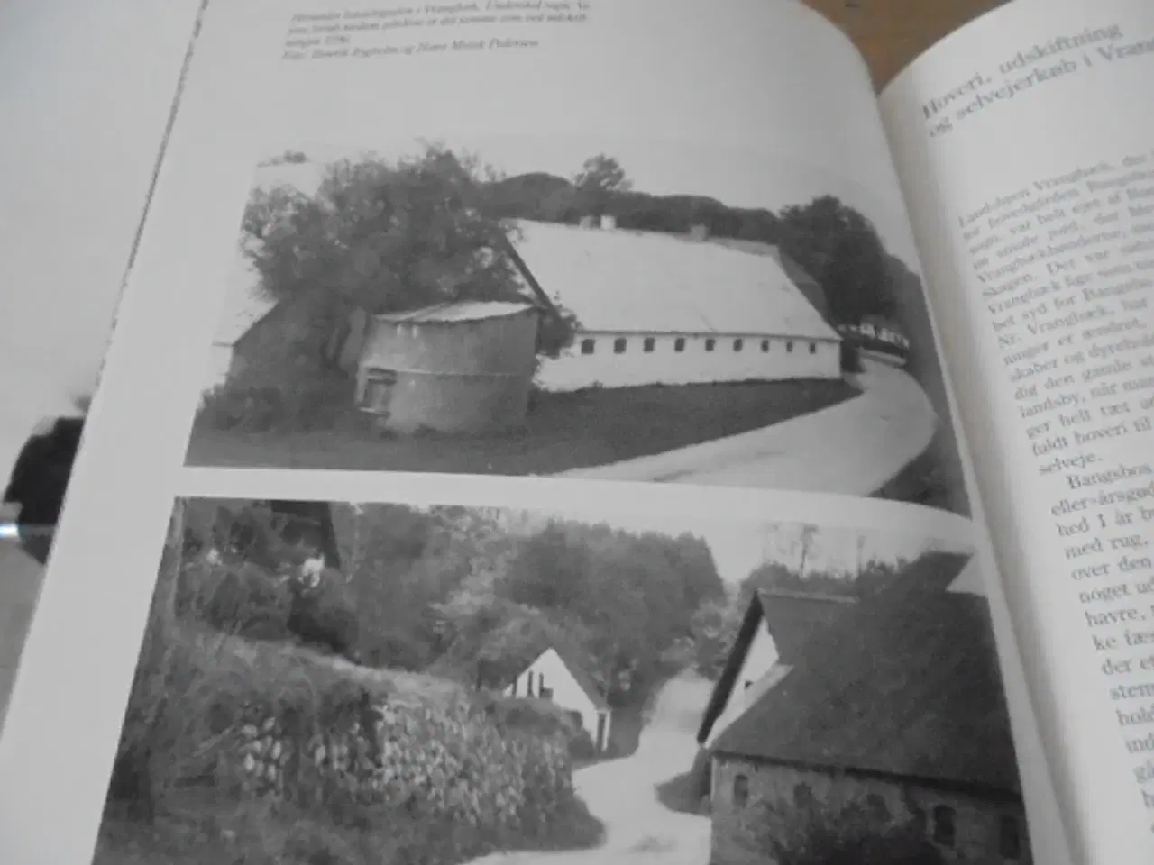 Billede 6 - Bønder – landbrug i Nordøstvendsyssel gennem 200 å