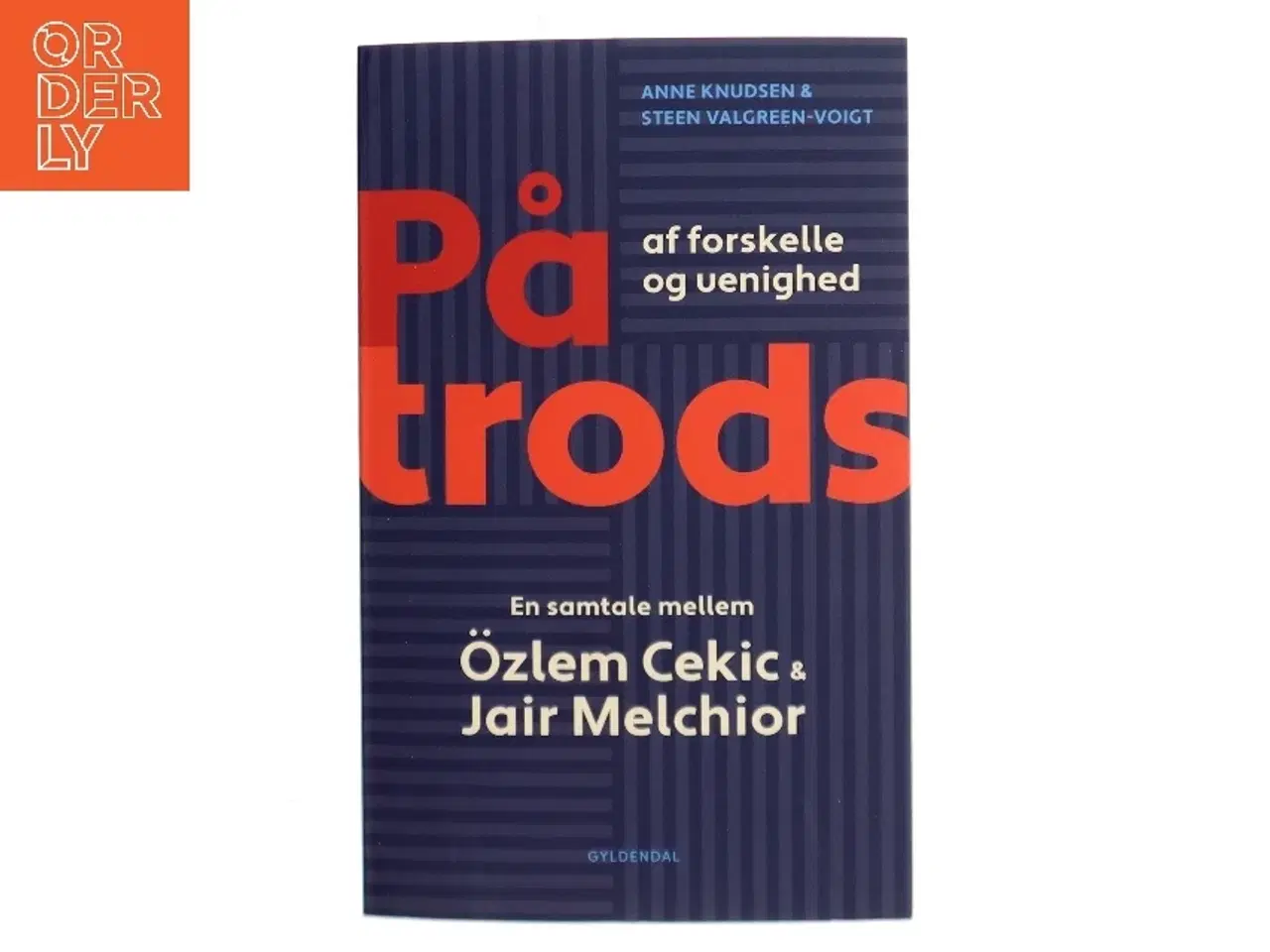 Billede 1 - På trods af forskelle og uenighed : en samtale mellem Özlem Cekic og Jair Melchior af Anne Knudsen (f. 1956) (Bog)