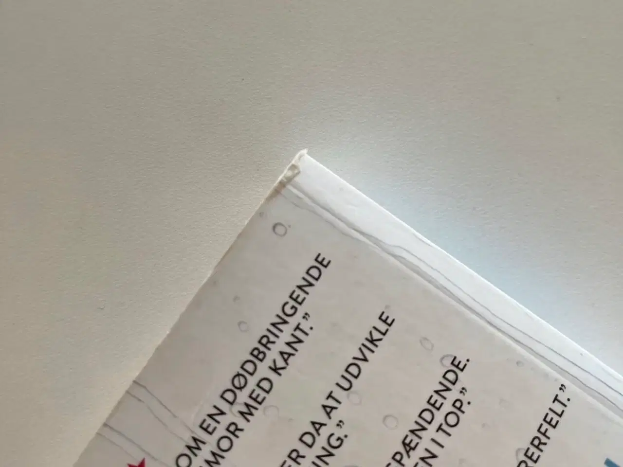 Billede 5 - Glasvinge af Katrine Engberg