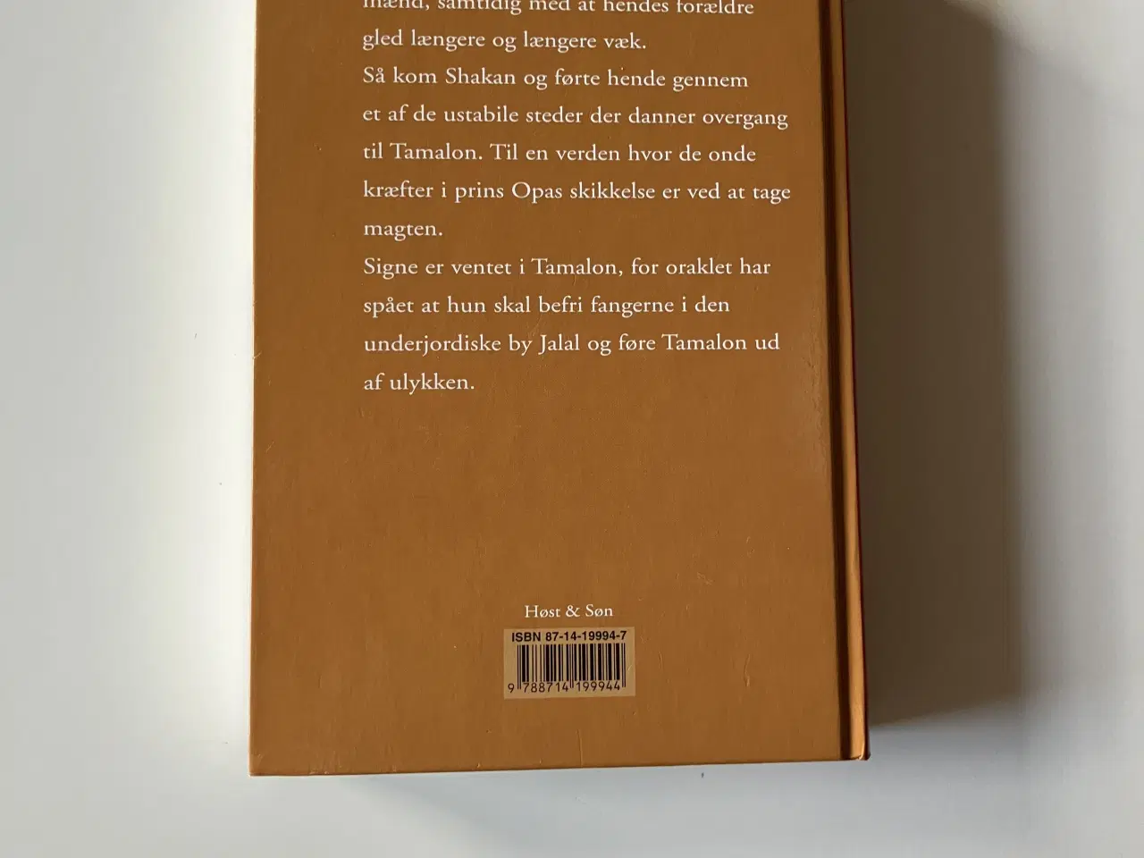 Billede 2 - Fem vinde over Tamalon. Af Gro Dahle