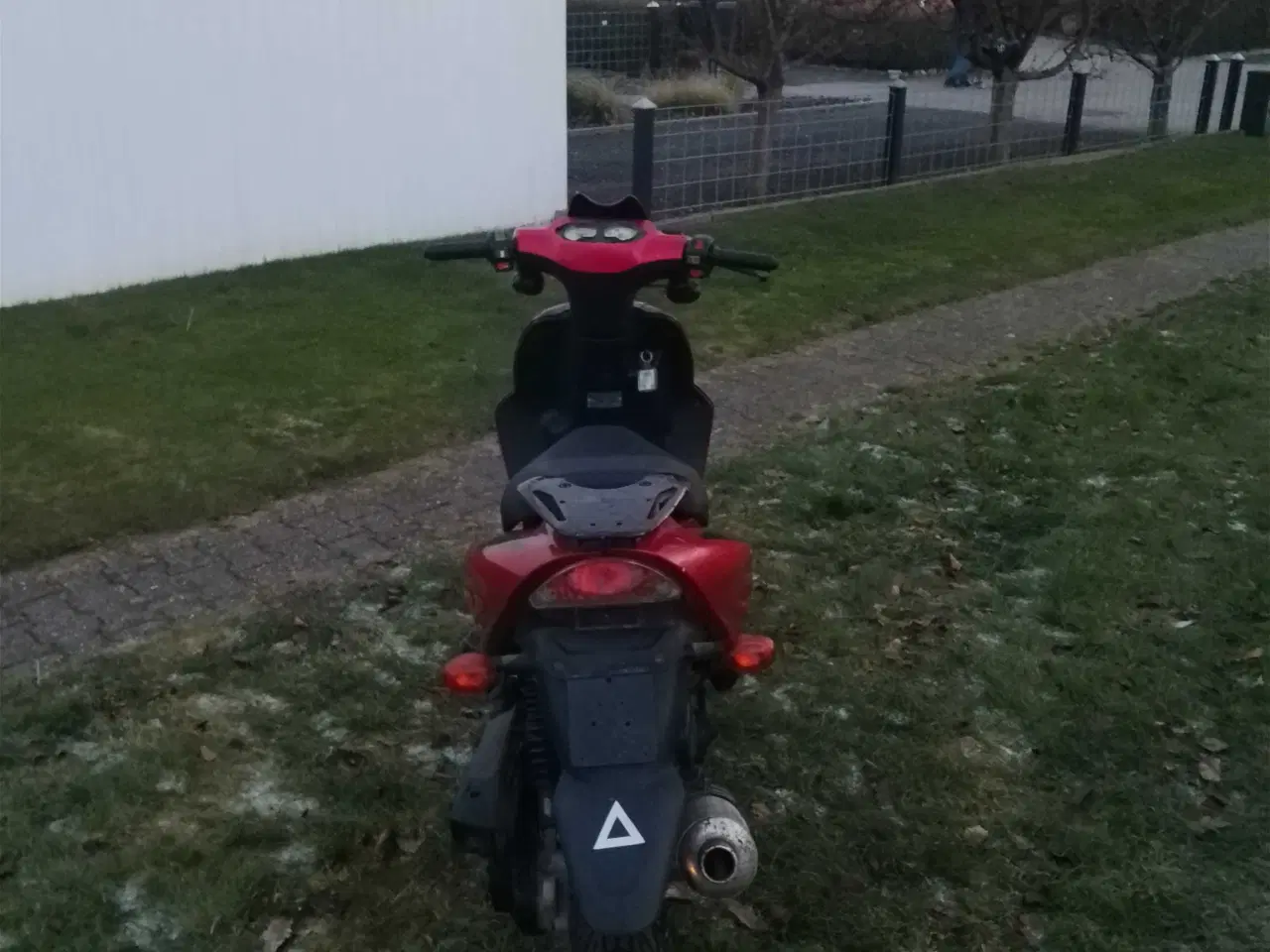 Billede 5 - Texas chilli 30kmt lovlig 