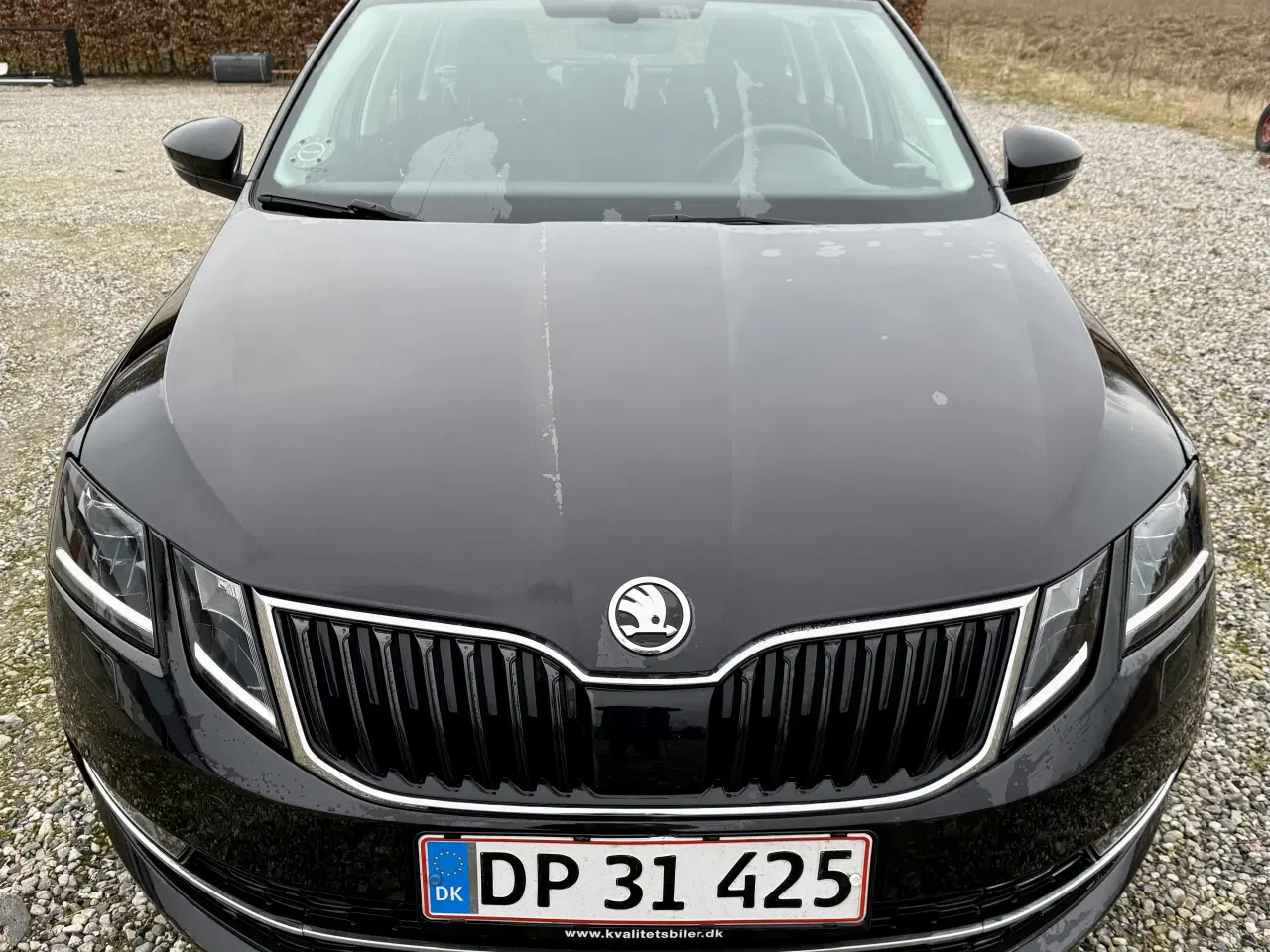 Billede 1 - Skoda Octavia 150 Combi DSG