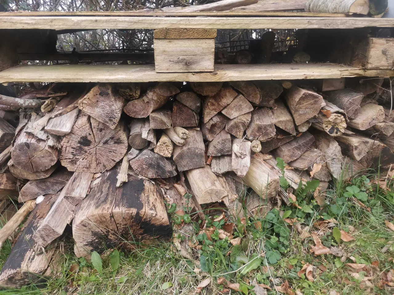 Billede 1 - En Brænde stak 30 kr ialt🌸 