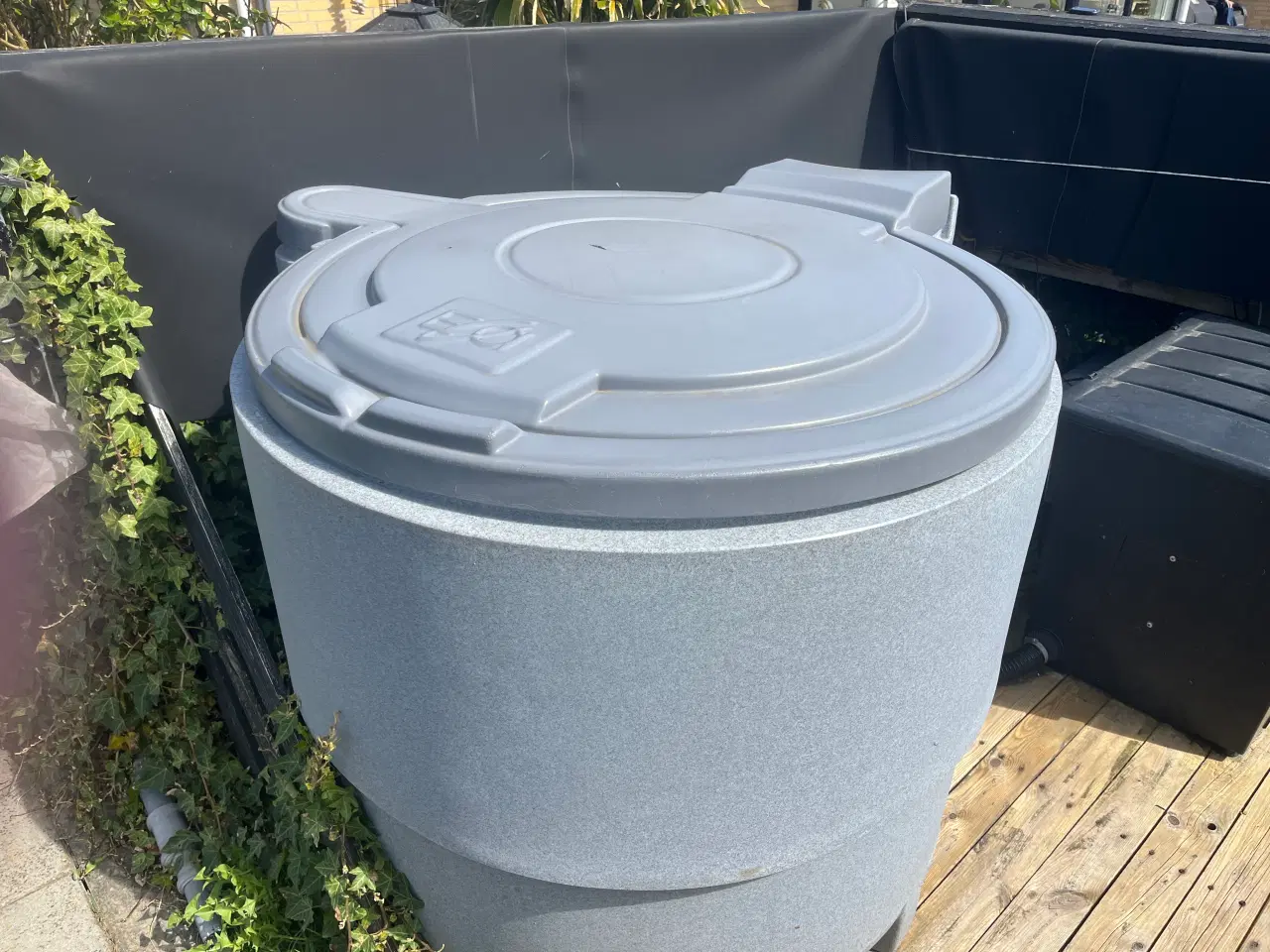 Billede 10 - Japanske koi karper 