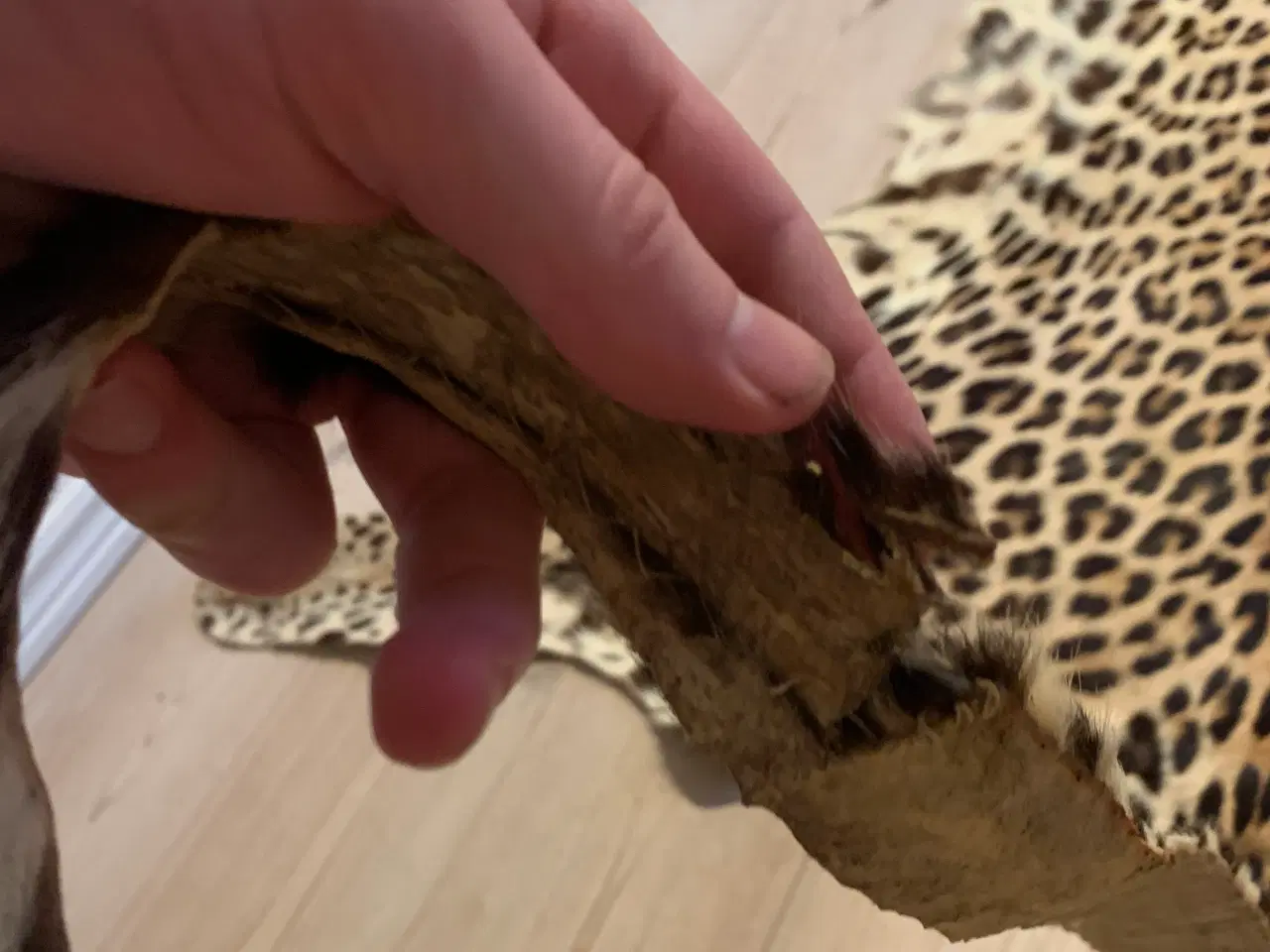 Billede 9 - Leopard Skind