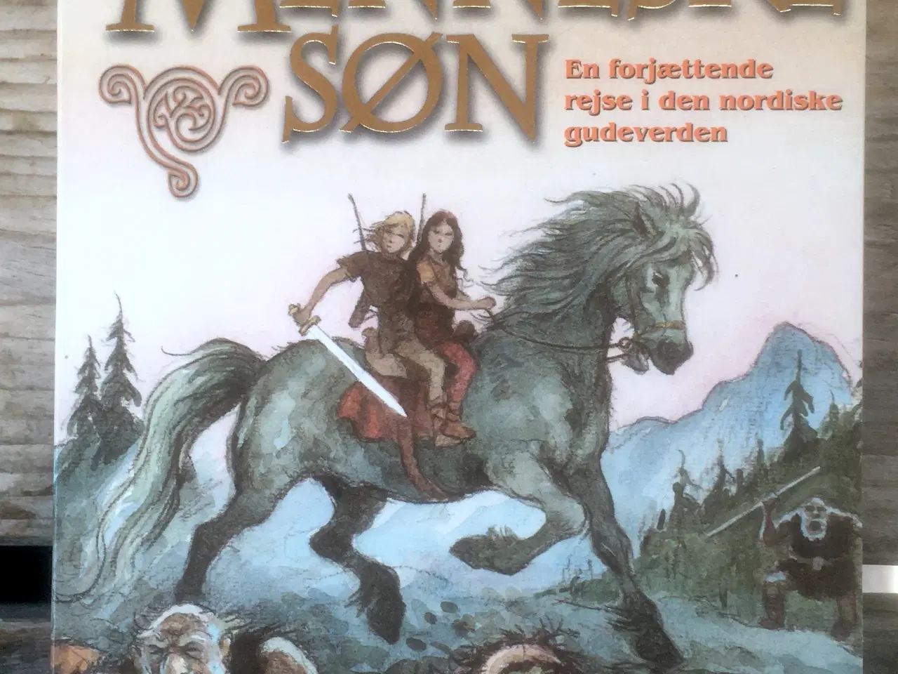 Billede 1 - Erik Menneskesøn, Lars-Henrik Olsen, genre: histor