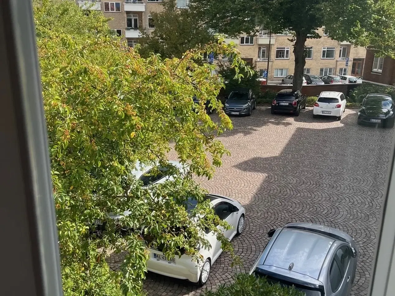 Billede 6 - Kontorlokale / klinik med franske fløjdøre