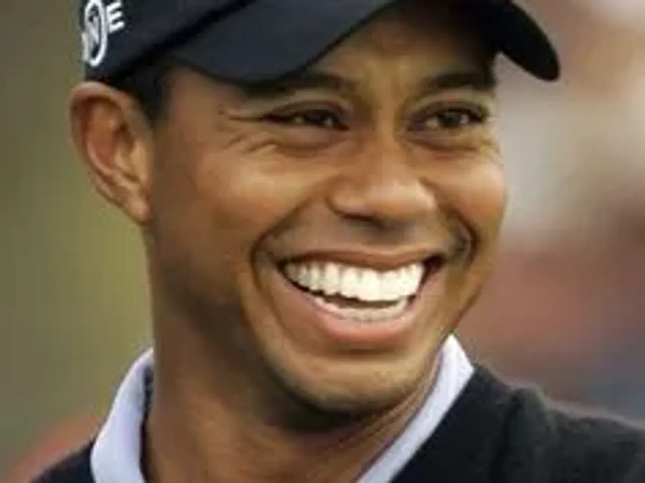 Billede 2 - EA Sports Tiger Woods PGA 2005