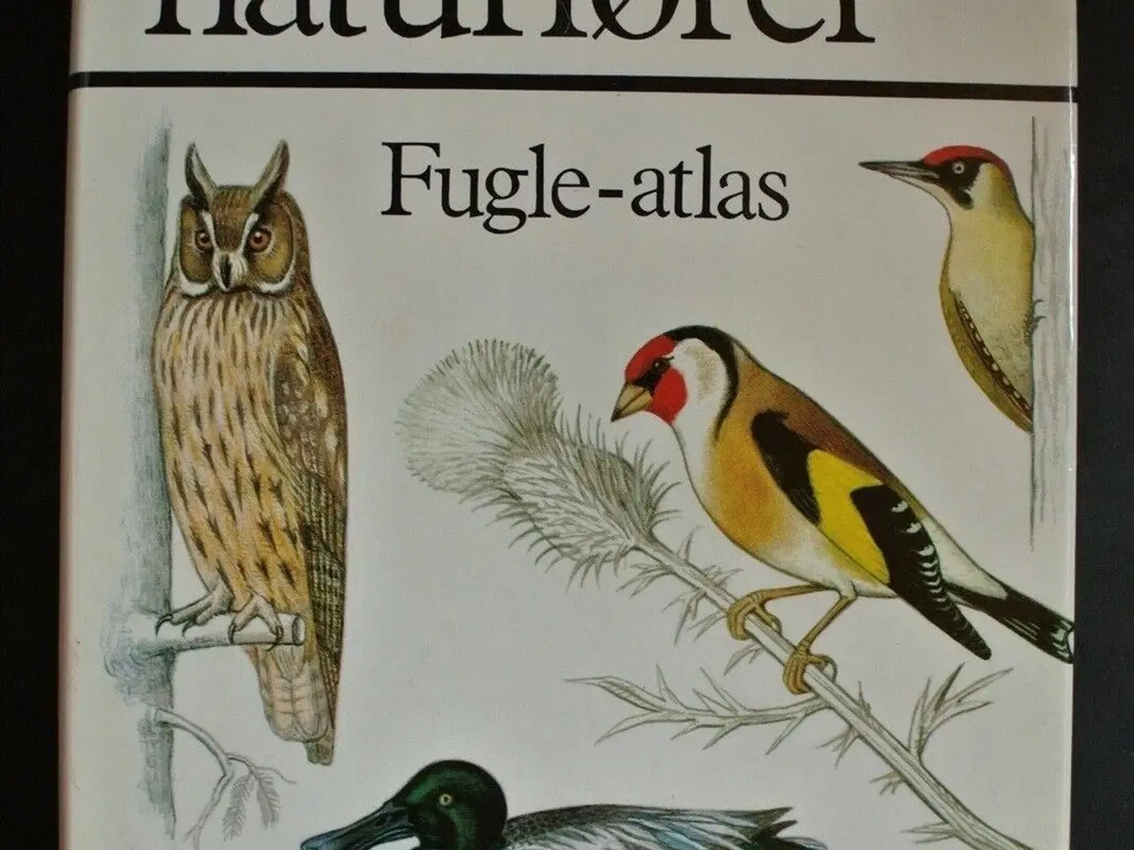 Billede 1 - lademanns naturfører fugle-atlas, Af walter cerny,