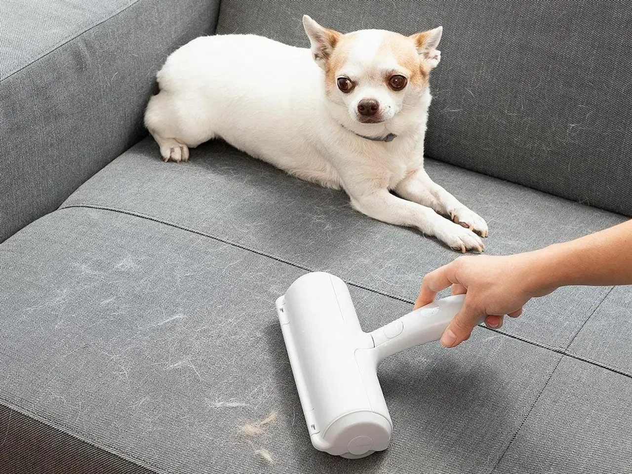 Billede 1 - Fnugrulle til hunde- og kattehår Rellair InnovaGoods