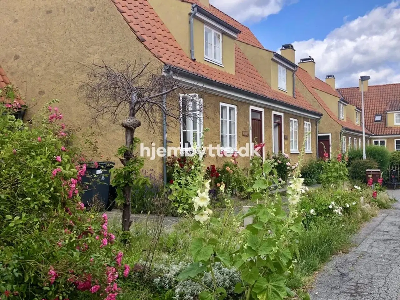 Billede 1 - Hjembytte - Pilevangen