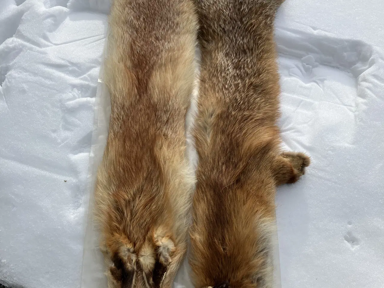 Billede 1 - Ræveskind