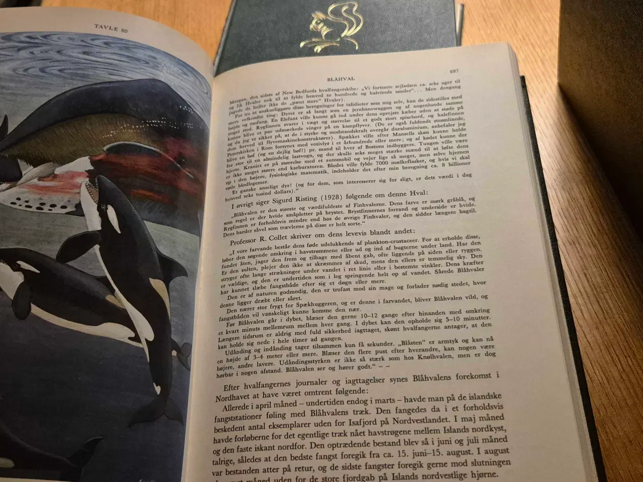 Billede 3 - DYRENES VERDEN, Ingvald Lieberkind