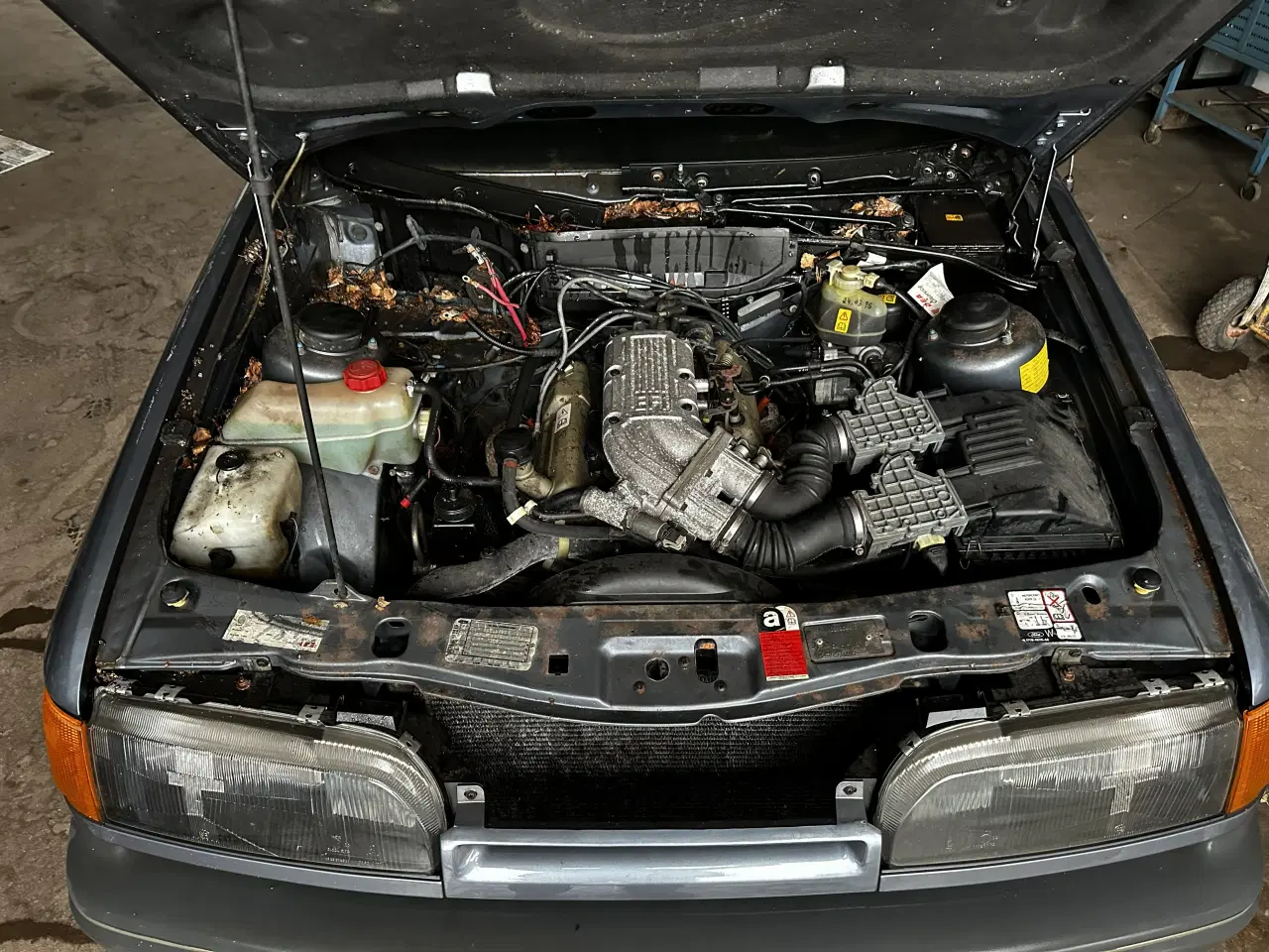 Billede 1 - FORD Cologne 2,4 EFI V6 