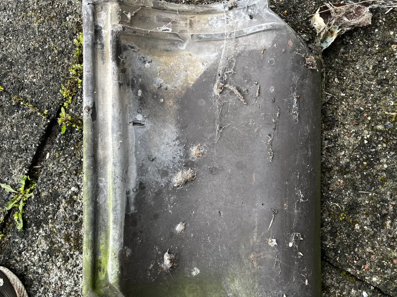 Billede 3 - Sjældne tagsten sælges. 