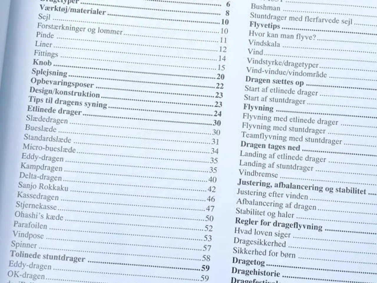 Billede 3 - Drager for alle. Bog om dragebygning