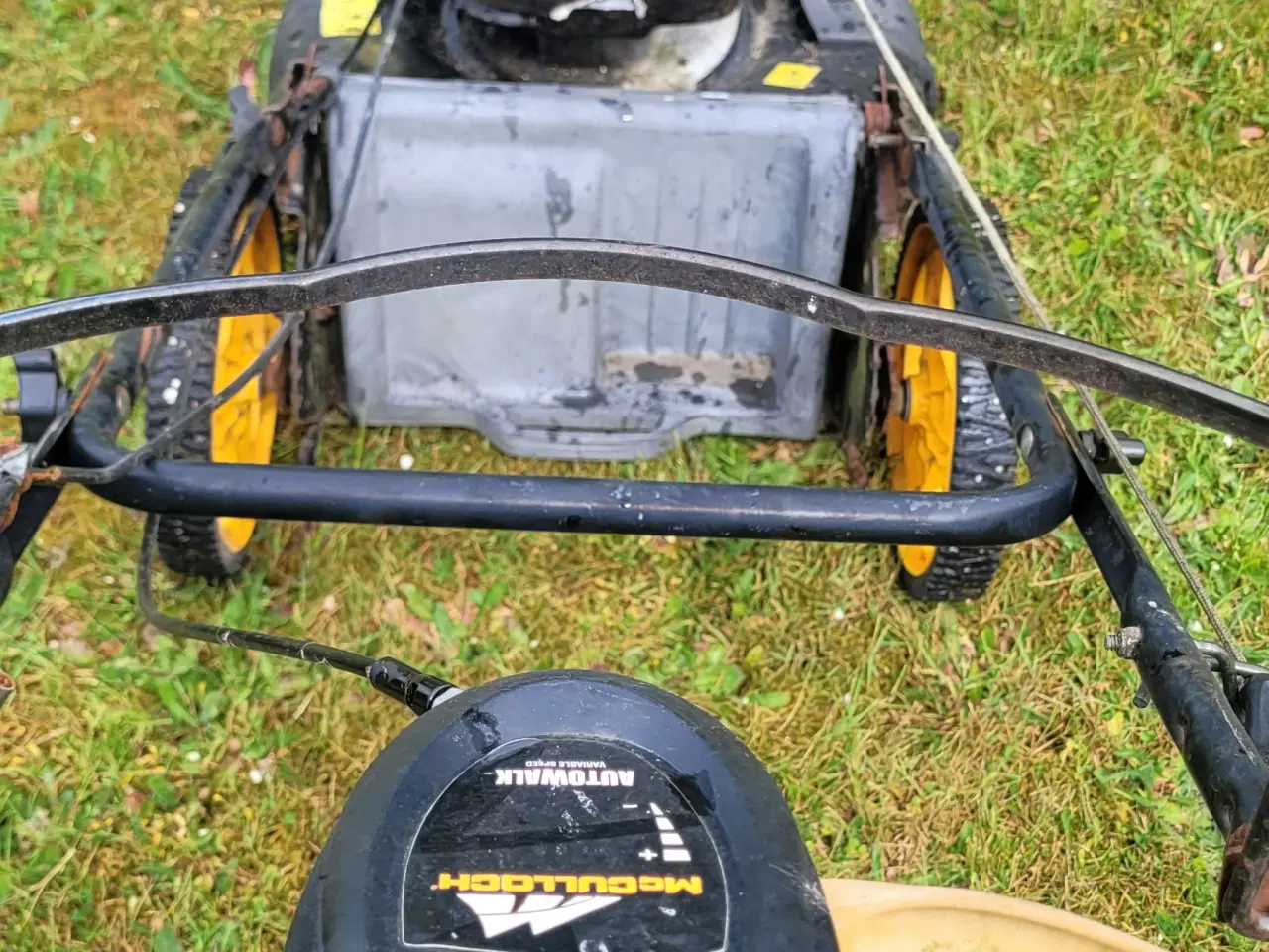 Billede 2 - Honda plæneklipper 