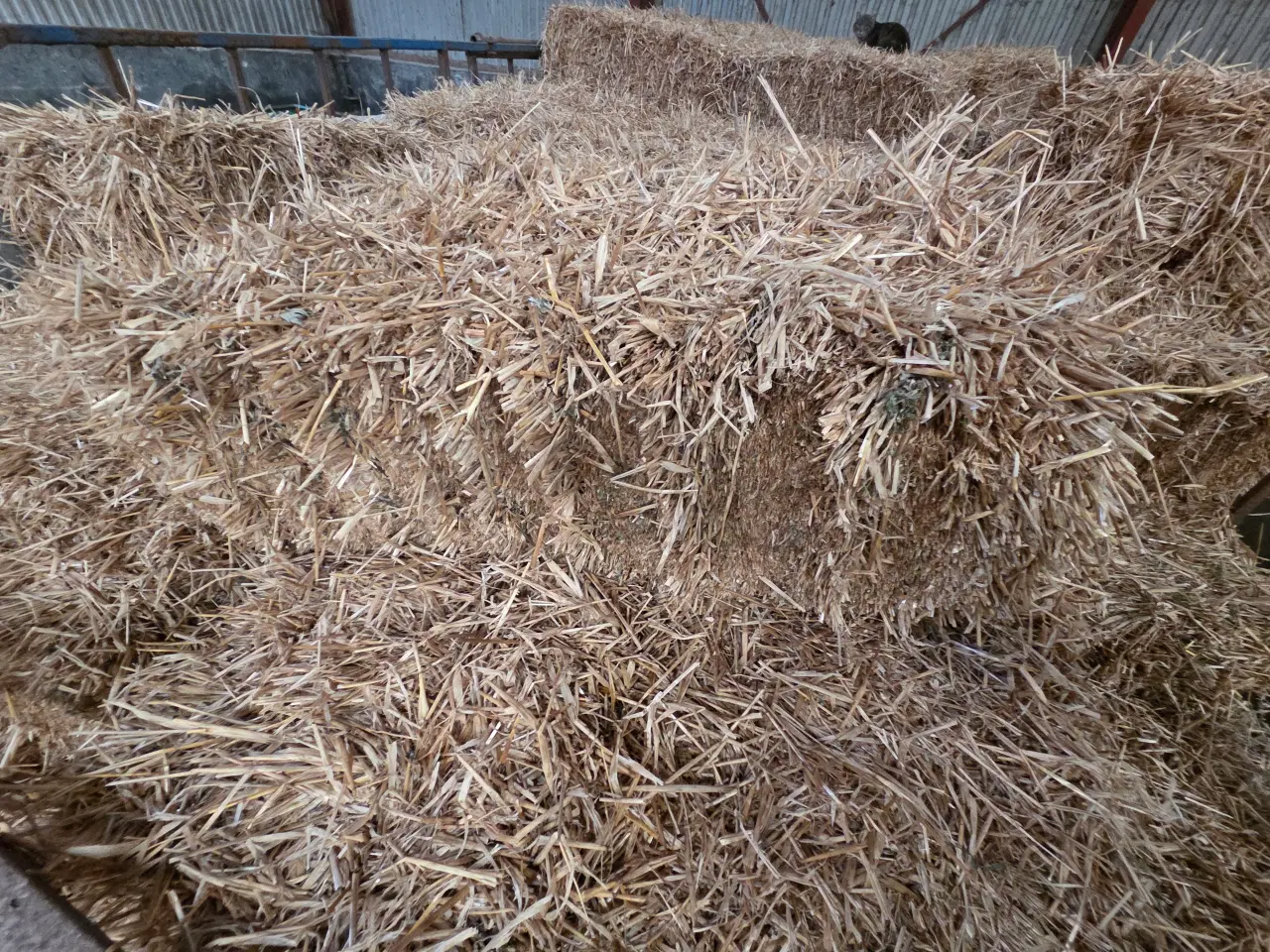 Billede 1 - Halm