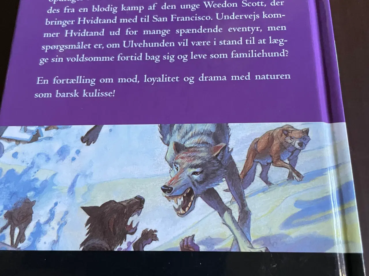 Billede 2 - “Min første klassiker” “Ulvehunden”