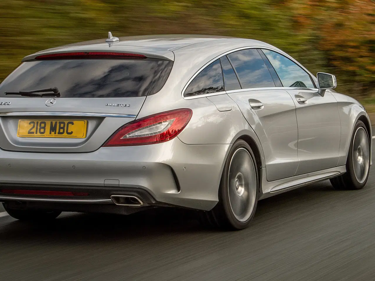 Billede 6 - Hundegitter Mercedes CLS Shooting Brake