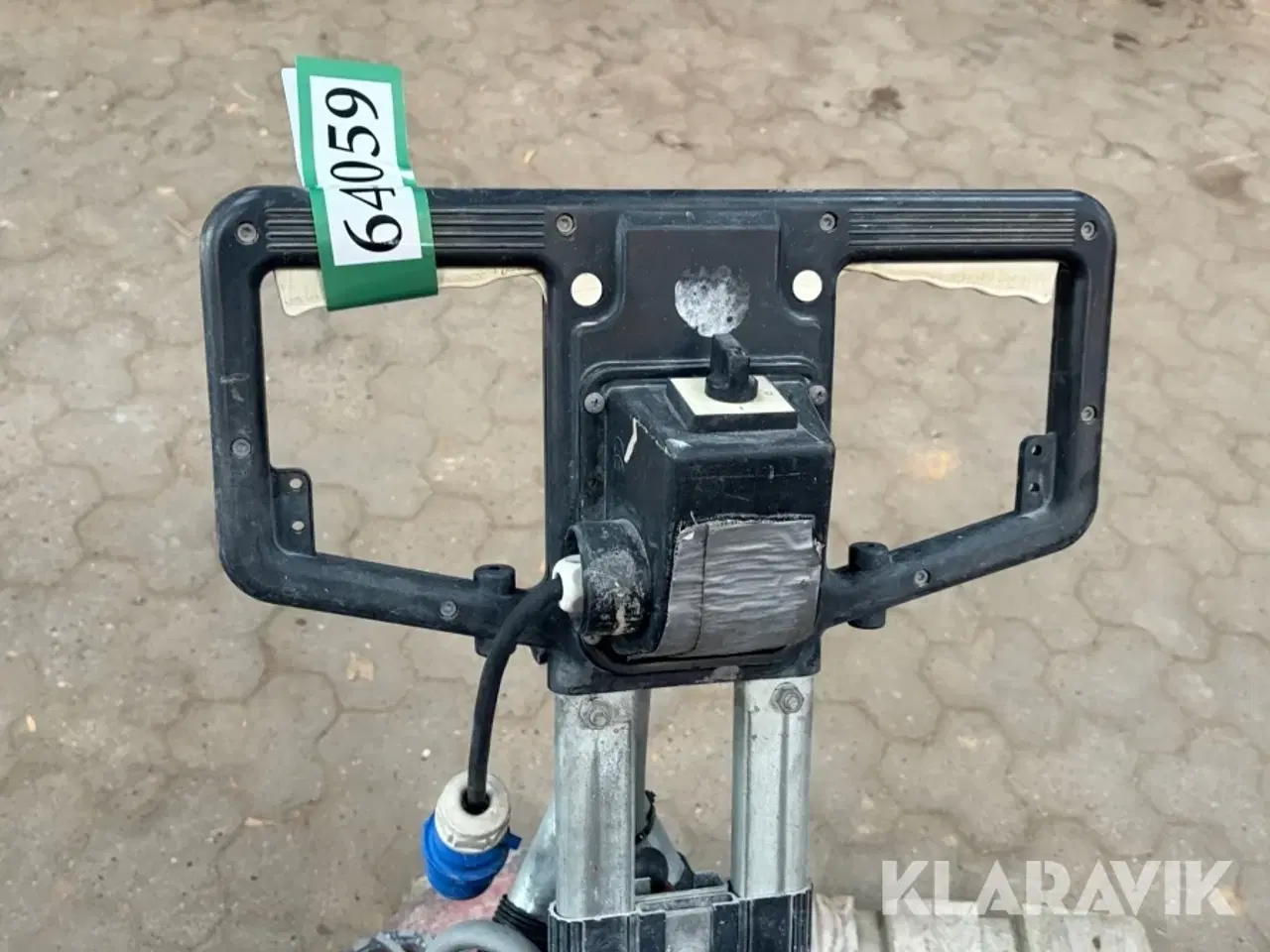 Billede 9 - Raimondi