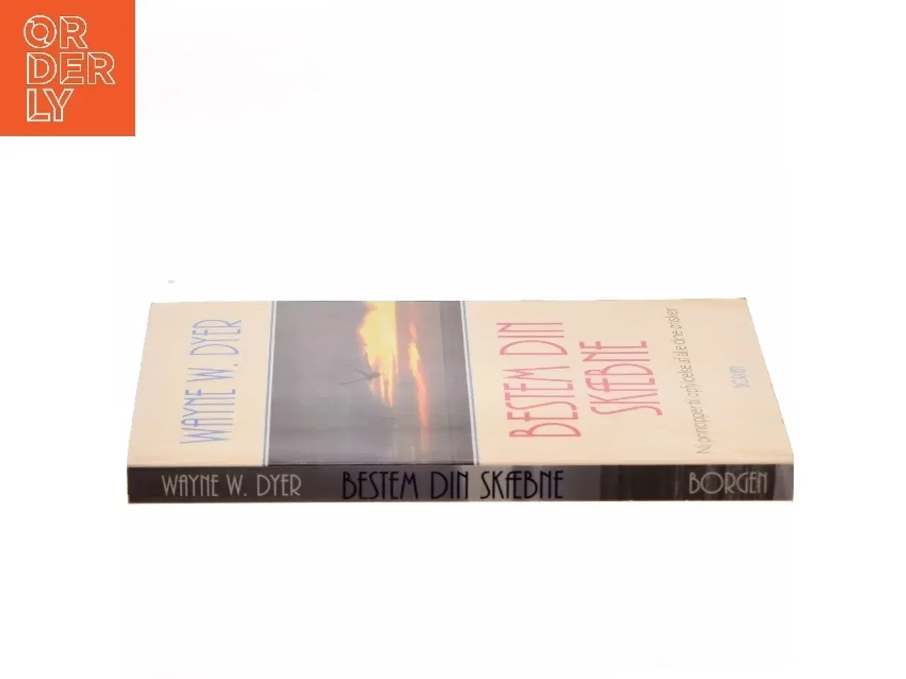Billede 2 - Bestem din skæbne : ni principper til opfyldelse af alle dine ønsker af Wayne W. Dyer (Bog)