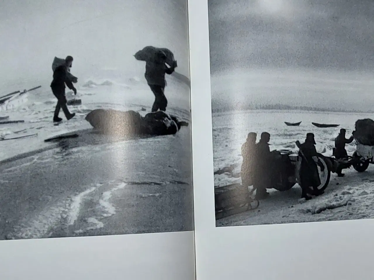 Billede 5 - Tysk bog "Stalingrad en chronik i bilder"