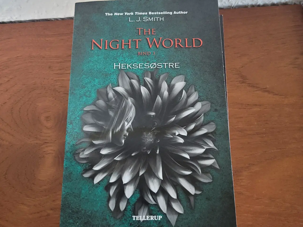 Billede 4 - Bogserie: The Night World 