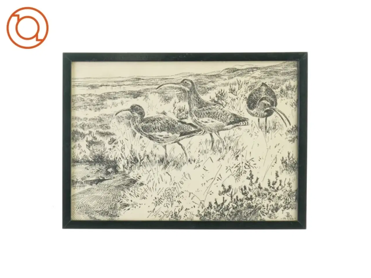 Billede 1 - Leif Ravn Jensen billede med motiv af strandfugle (str. 28 x 20 cm)
