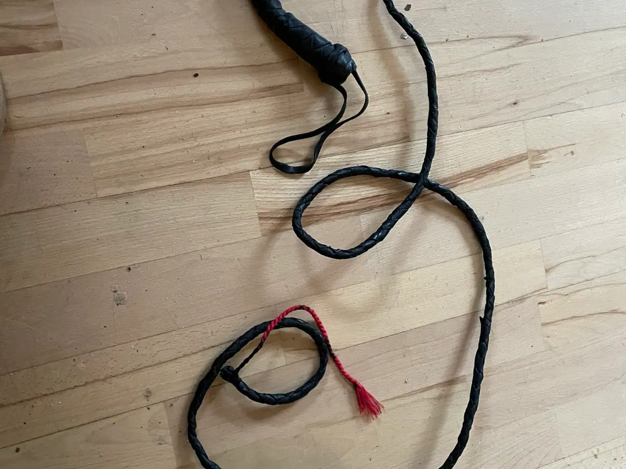 Billede 1 - Sort pisk med snert.