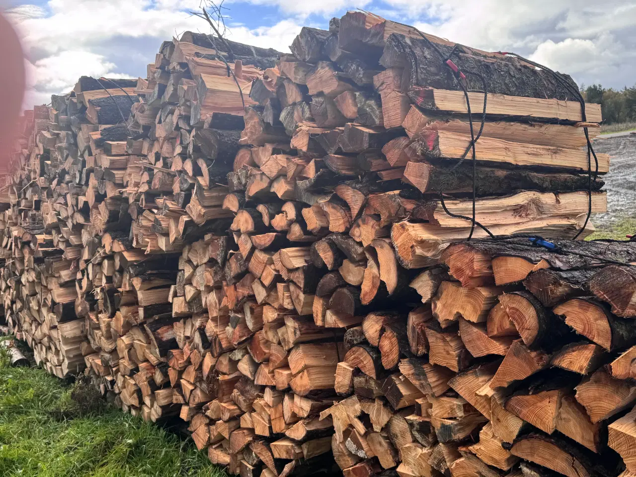 Billede 2 - Skovfyr i bundter - samlet salg 10 bundter - læs m