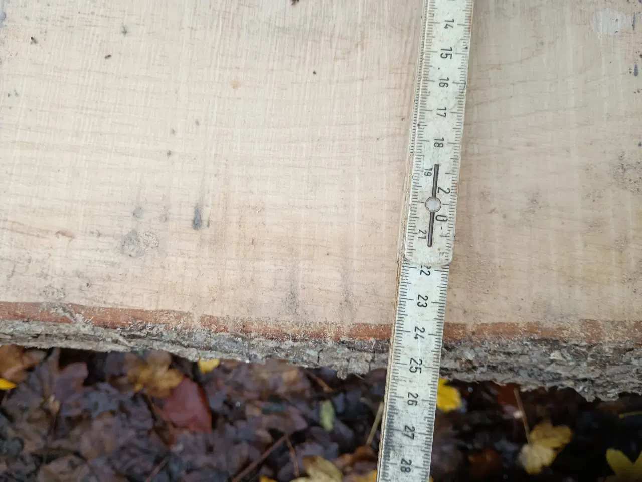 Billede 1 - Egetræs brædder