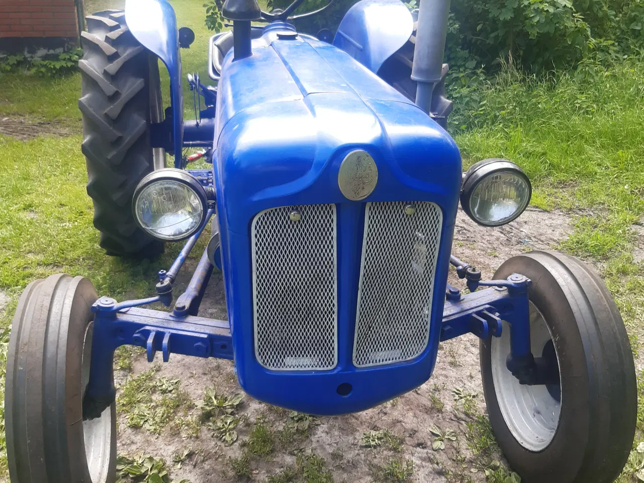 Billede 1 - fordson dexta til salg